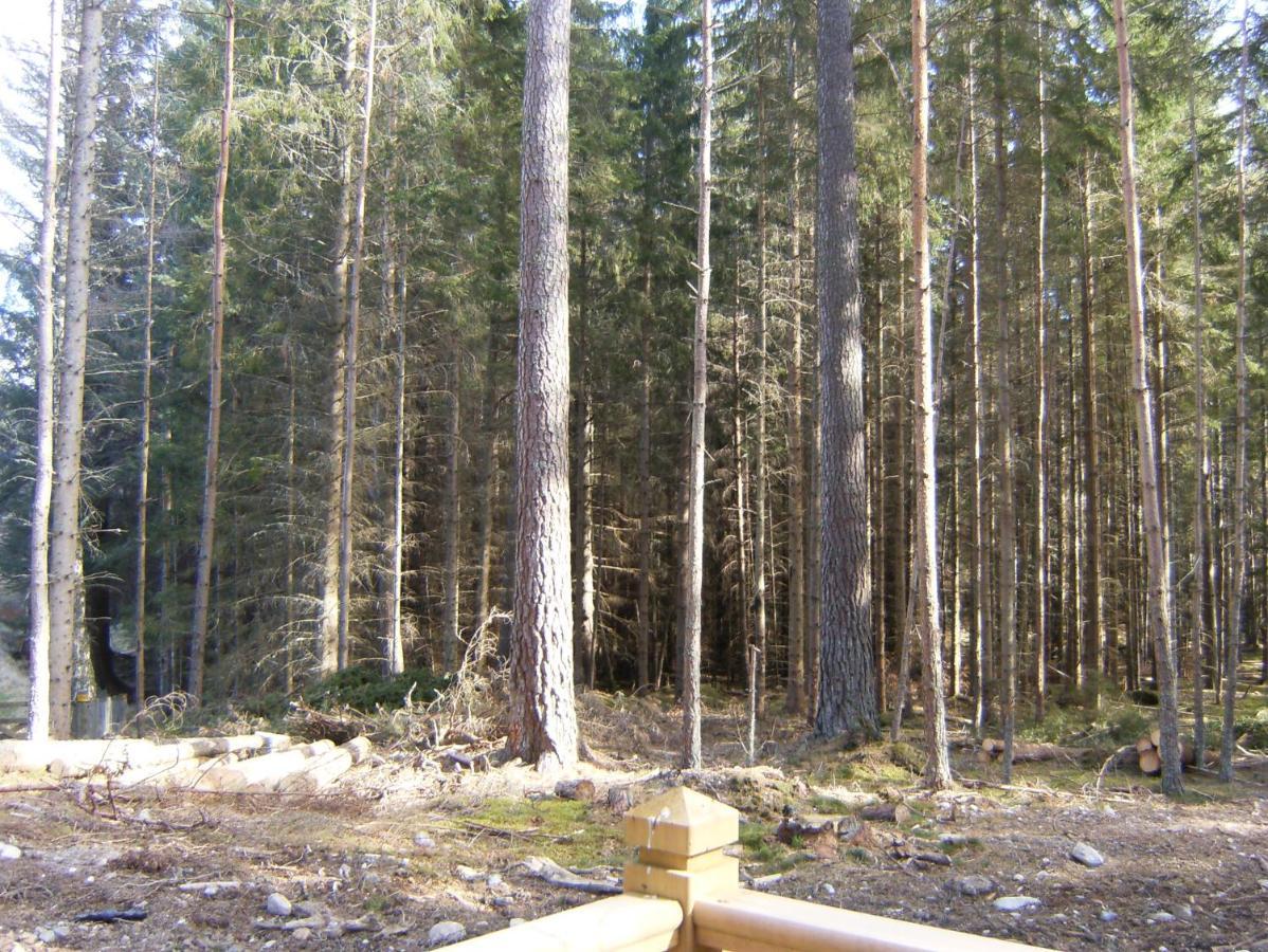 Cairngorm Lodges Aboyne Exterior photo