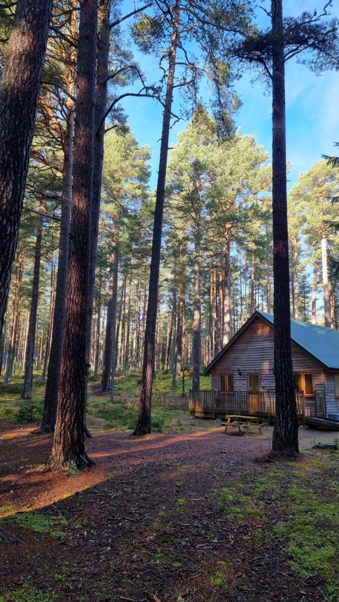 Cairngorm Lodges Aboyne Exterior photo