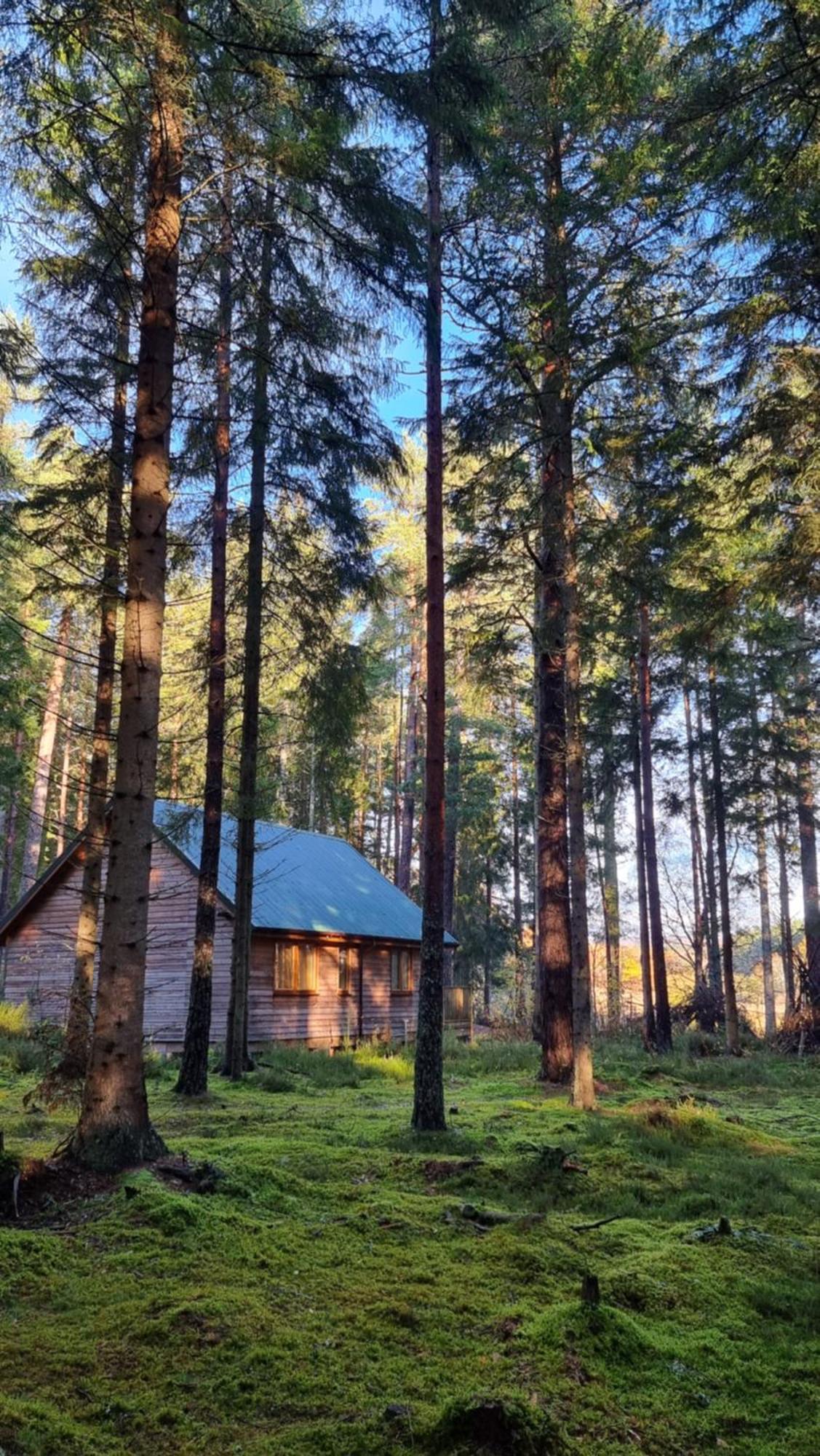 Cairngorm Lodges Aboyne Exterior photo
