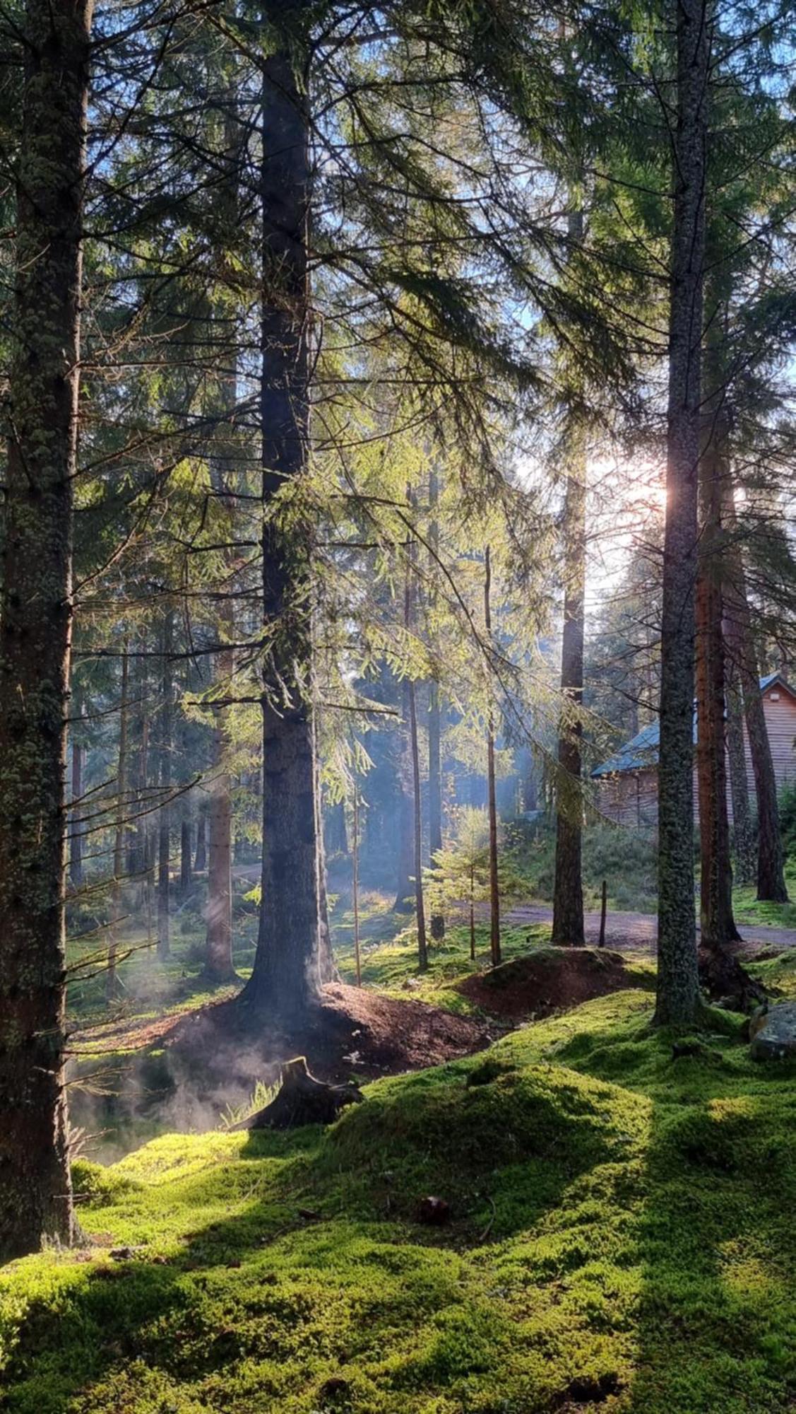 Cairngorm Lodges Aboyne Exterior photo